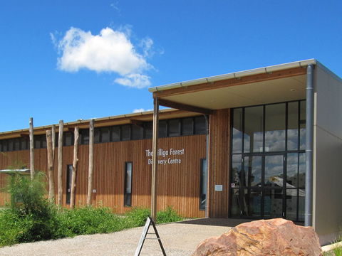 Pilliga Forest Discovery Centre - Accommodation China 0