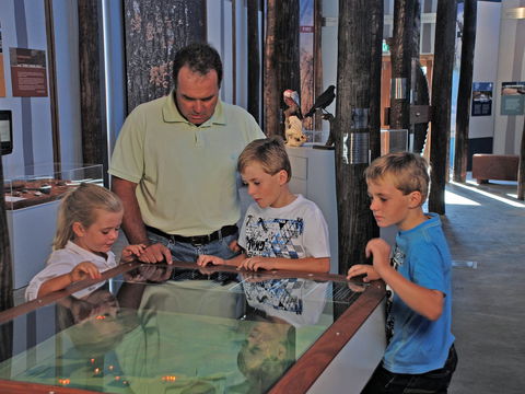 Pilliga Forest Discovery Centre - Accommodation China 1