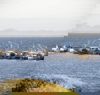 Portarlington - Accommodation Guide