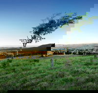 Ravensbourne National Park - Accommodation China