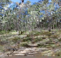 Reef Hills State Park - Accommodation Guide