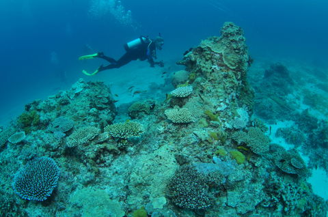 Second Reef Dive Site - Accommodation China 1