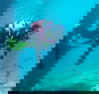 Shellharbour Scuba  and Photography Centre - Accommodation China