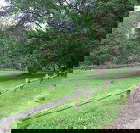 St Albans Reserve - Accommodation Asia