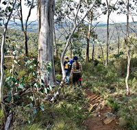 Summits Walking Track - Accommodation Guide