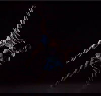 Sydney Dance Company - Accommodation Asia