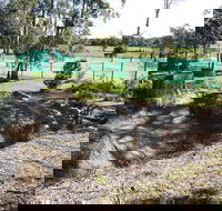 Tactical Paintball Games - Accommodation Asia