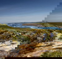 The Coast track - Accommodation Asia