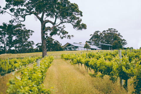 The Great Southern Drive - Accommodation Asia 0