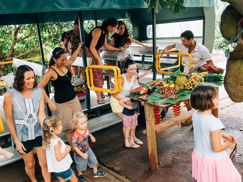 Tropical Fruit World - Accommodation Guide 2