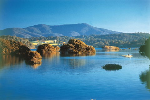 Wagonga Picnic Area - Accommodation Guide 0