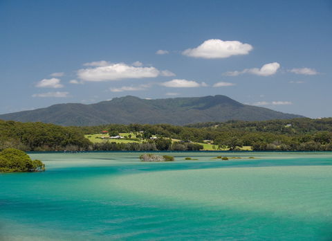 Wagonga Picnic Area - Accommodation Guide 1