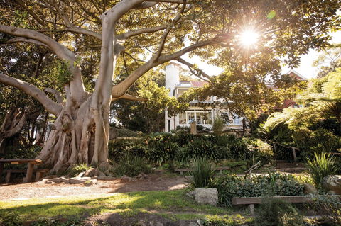 Wendy Whiteley's Secret Garden - Accommodation Asia 0