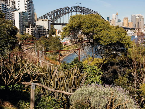 Wendy Whiteley's Secret Garden - Accommodation Asia 2
