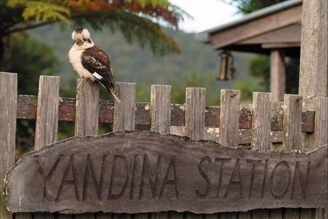 Yandina - Accommodation Guide 0