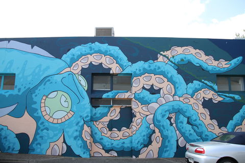 Adelaide Fringe Street Art Explosion - Accommodation Asia 2