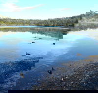 Berrara Creek