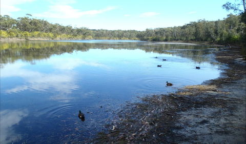 Berrara Creek - Accommodation Asia 0