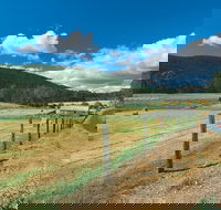 Blackwood River Tourist Drive - Accommodation Guide