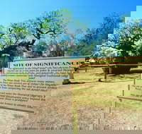 Boab Prison Tree - Accommodation Guide