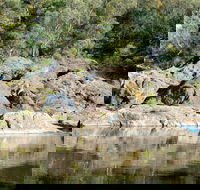 Boonoo Boonoo National Park - Accommodation Asia