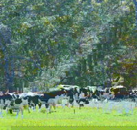 Boyanup - Accommodation Asia
