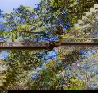 Bribie Island Bicentennial Trails - Accommodation China