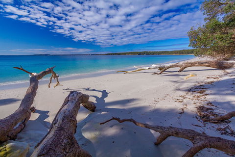 Bristol Point Beach - Accommodation Asia 0