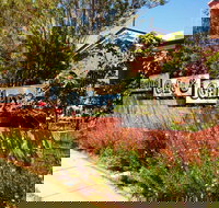 Cactus Cafe and Gallery - Accommodation China