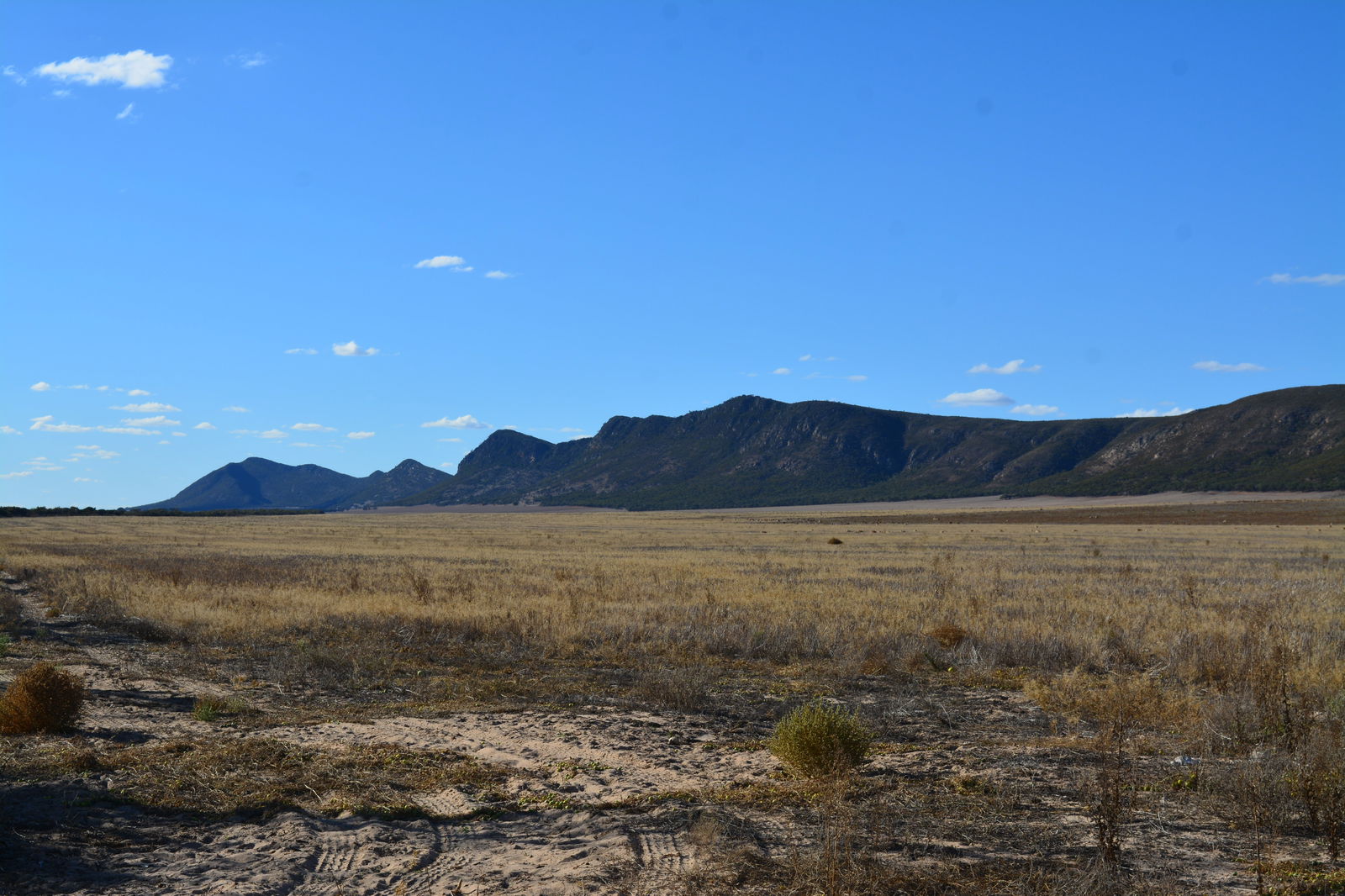 Darke Peak SA Accommodation Guide