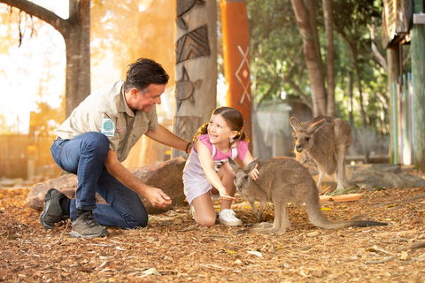Dreamworld - Accommodation Guide 2