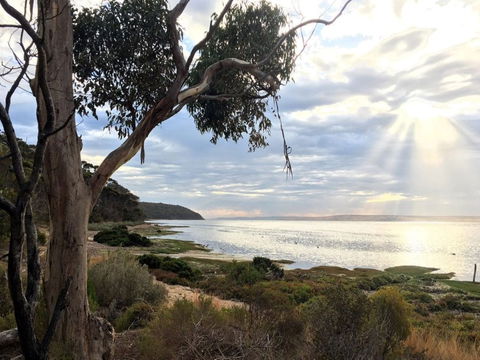 Fish Cannery Walking Trail - Accommodation Guide 0