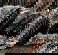 Geckostrands Textile Artist - Accommodation China