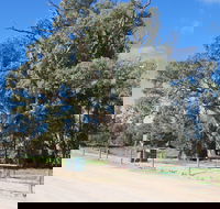 Giant Gum Tree - Accommodation China