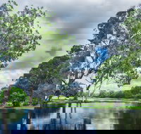 Gold Coast Regional Botanic Gardens - Accommodation Guide
