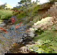 Gold Panning Deep Creek - Accommodation Guide