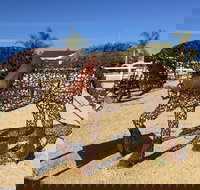 Gundersen Reserve - Accommodation Guide