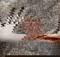 Hands of Fame Park - Accommodation Asia