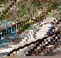 Harbour Bridge to The Spit Bridge Walking Track - Accommodation Guide