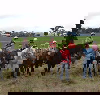 High Country Trail Rides - Accommodation China