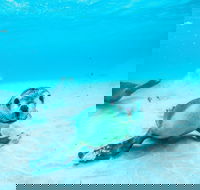 Jurien Bay