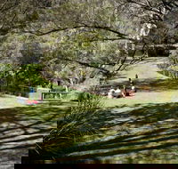 Leura Cascades picnic area - Accommodation China