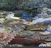 Liffey Falls Reserve - Accommodation Guide