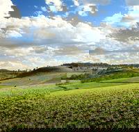 Lions Park Hodgson Vale - Accommodation China