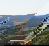 Llama Walks Tasmania - Accommodation Asia