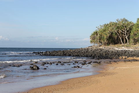 Mon Repos Beach - Accommodation China 2