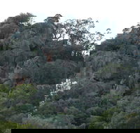 Mount Yarrowyck Nature Reserve - Accommodation Asia