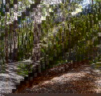 Myrtle Scrub Scenic Drive - Accommodation Asia