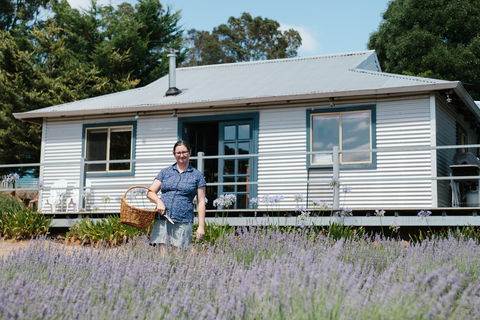 Nannup Lavender Farm - Accommodation Guide 1
