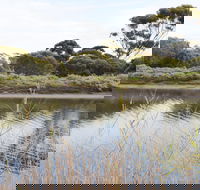 Onkaparinga River Recreation Park - Accommodation Guide